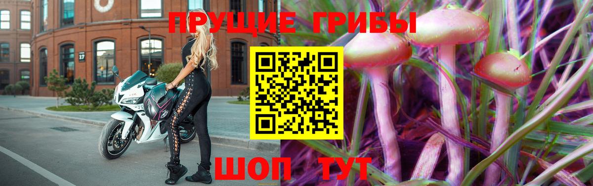 Галлюциногенные грибы Psilocybe Орёл