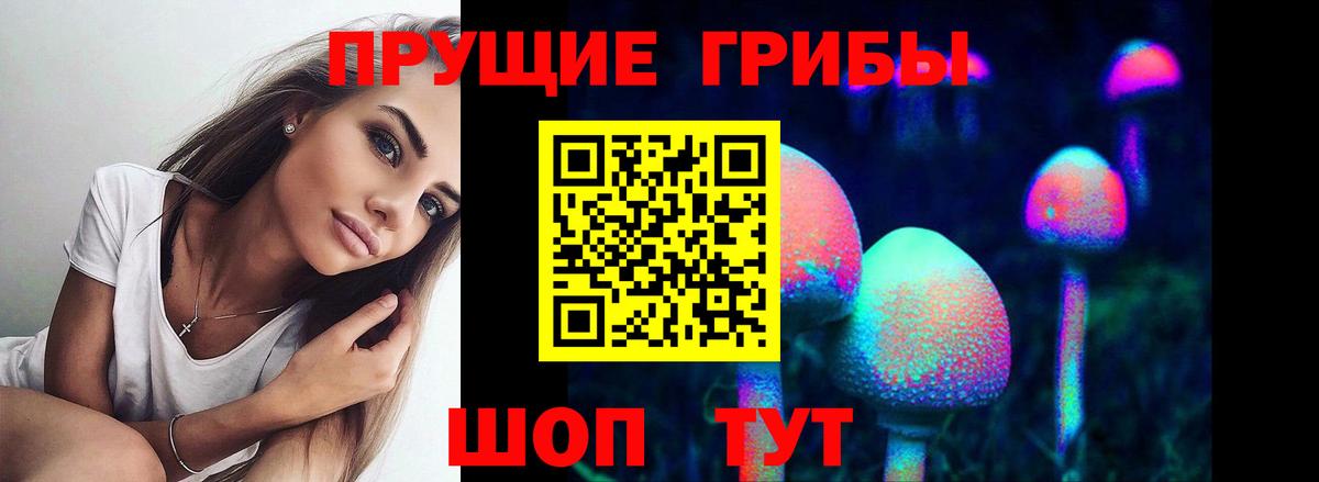 Псилоцибиновые грибы GOLDEN TEACHER  продажа наркотиков  Орёл  Вход с VPN 